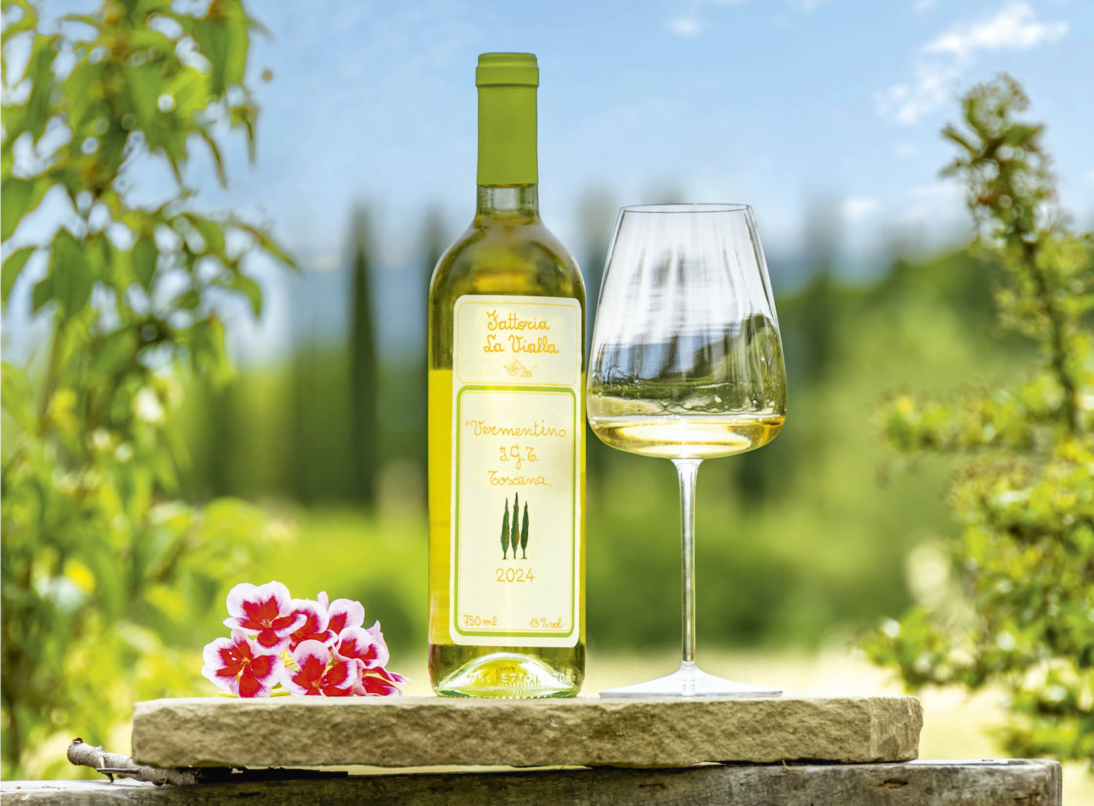 Vermentino I.G.T. Toscana 2024