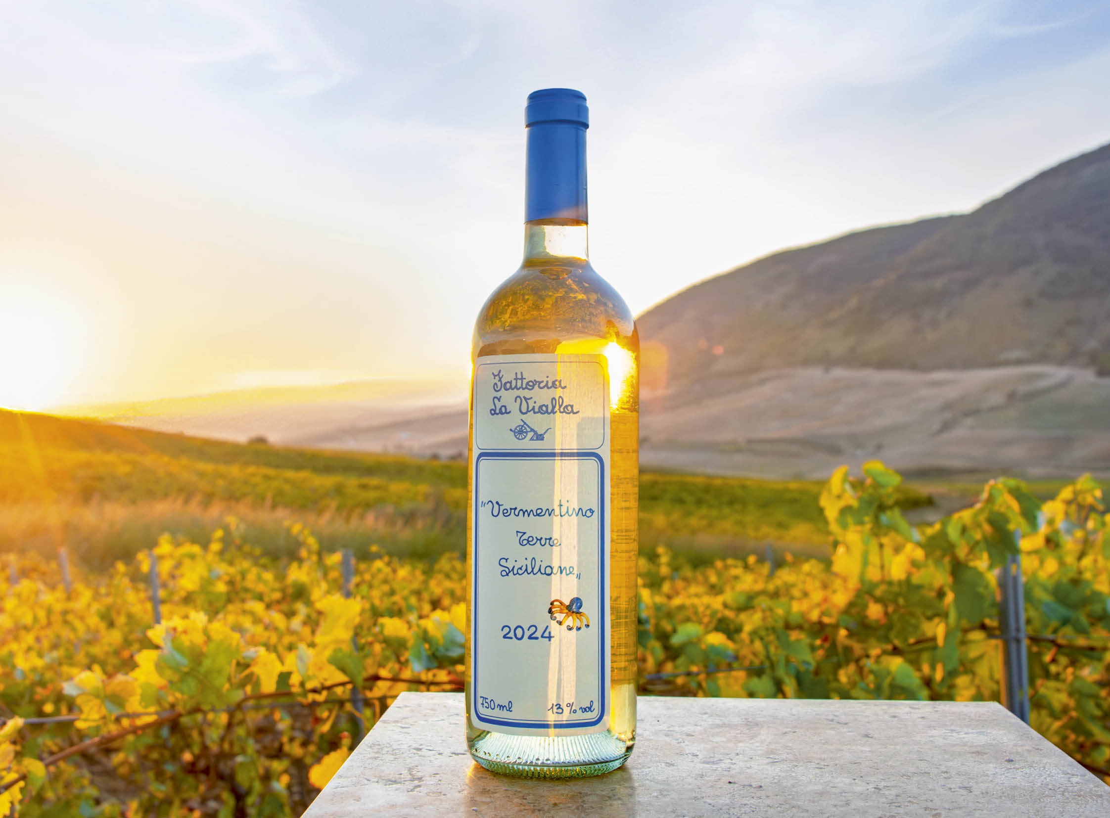 Vermentino Terre Siciliane  I.G.T. 2024