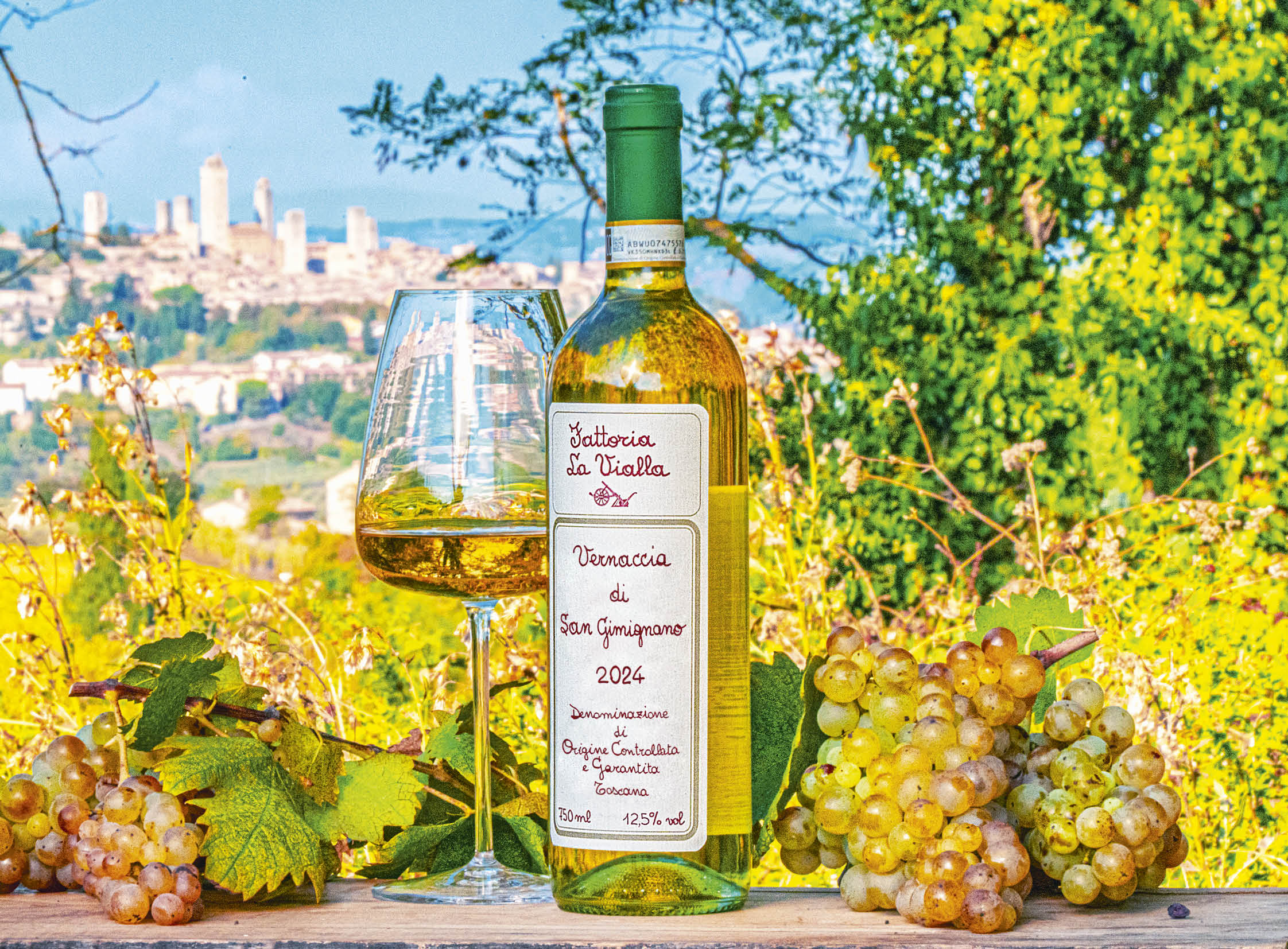 Vernaccia di San Gimignano D.O.C.G. 2024