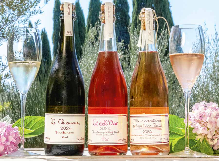 Probierpakete La Vialla