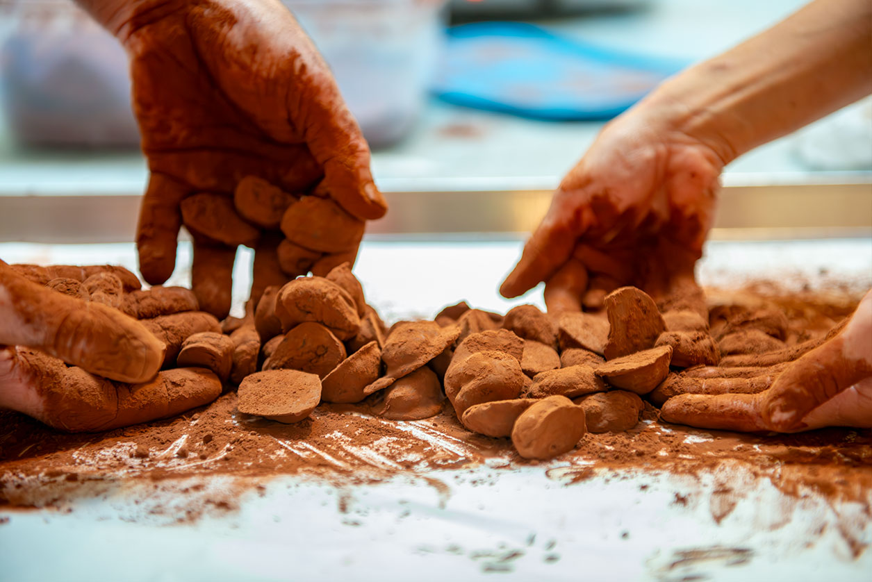 Chocolade La Vialla