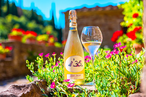 Méthodes Traditionnelles La Vialla