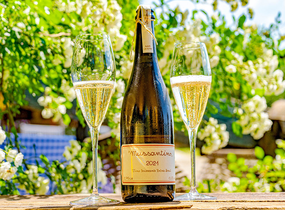 Sparkling Wines La Vialla