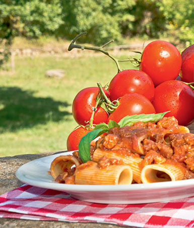 Rigatoni alla Amatriciana | Fattoria La Vialla