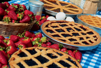 La Crostata all’Olio d’oliva della nonna Amelia (1) | La Vialla
