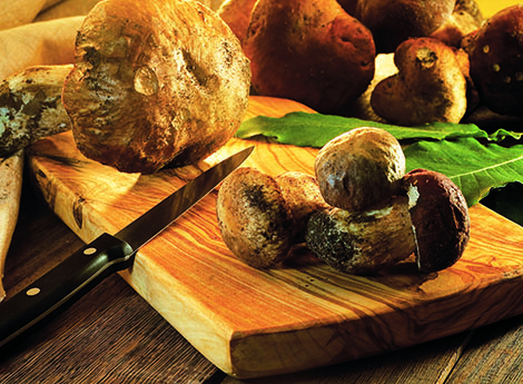 Funghi porcini in padella | Fattoria La Vialla