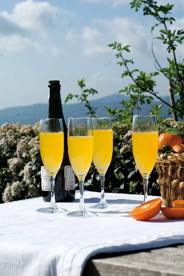 Puccini | Fattoria La Vialla