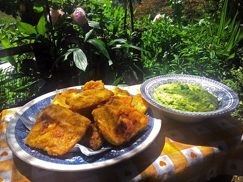 Chips di pecorino con crema di fave | Fattoria La Vialla