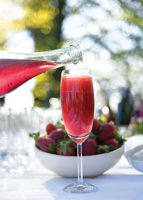 Fraguva de La Vialla | Fattoria La Vialla