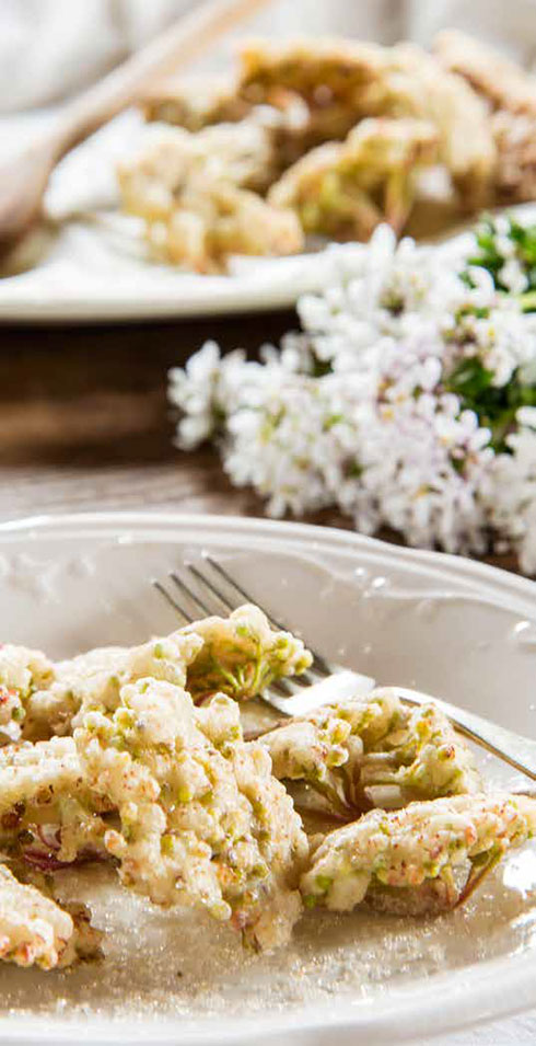 Frittelle di sambuco | Fattoria La Vialla