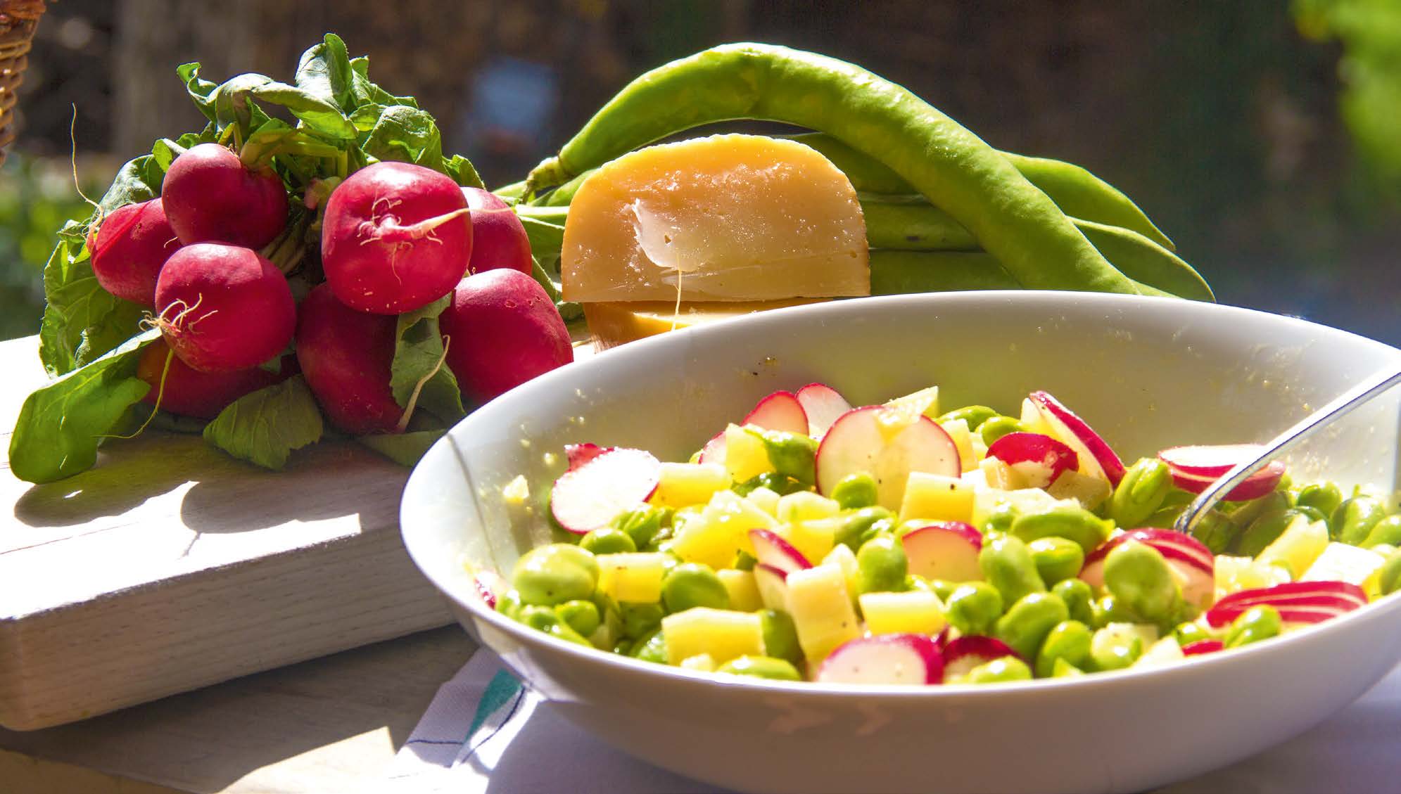 Insalata di baccelli, Pecorino e ravanelli | Fattoria La Vialla
