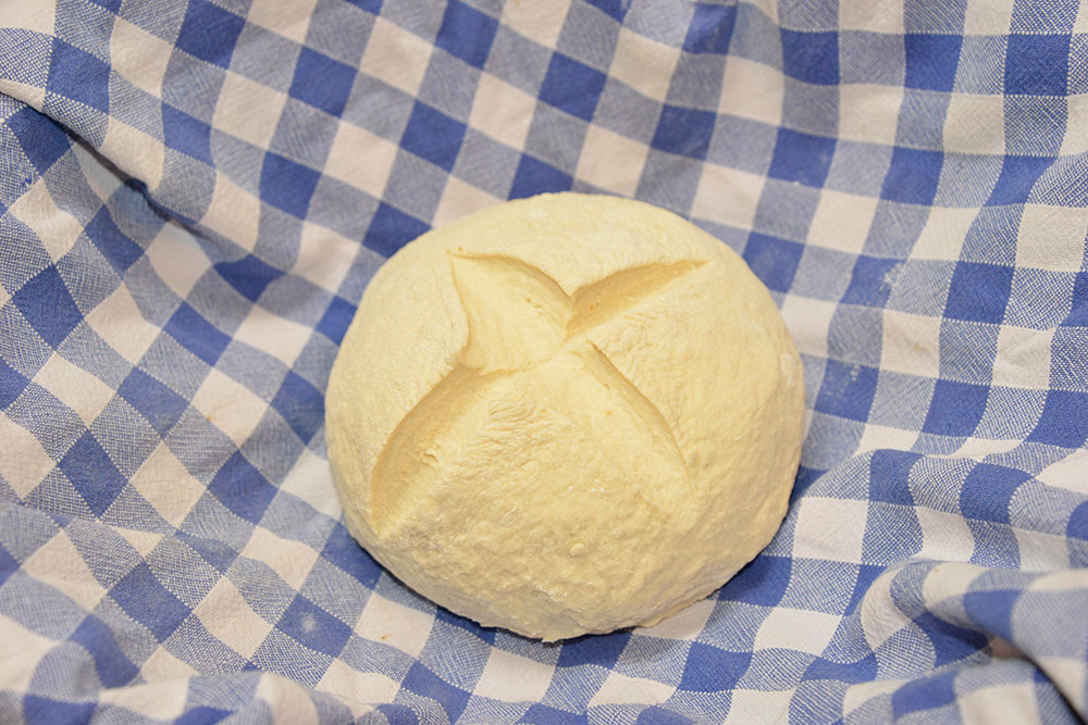 Pasta madre fatta in casa | Fattoria La Vialla