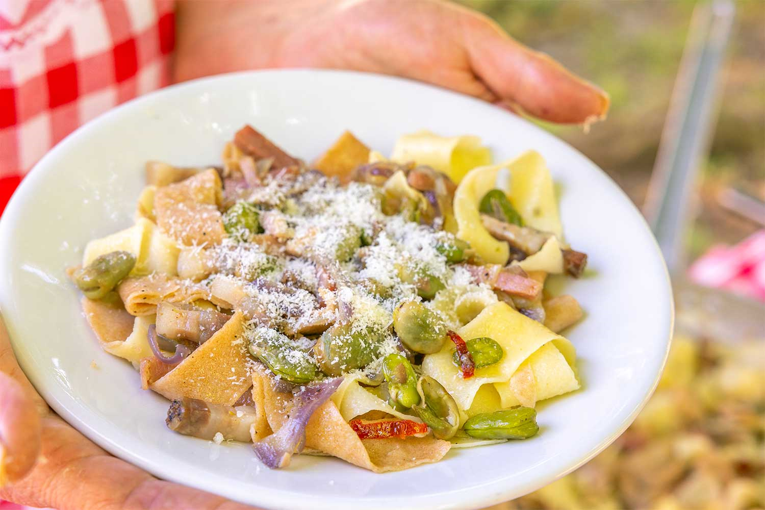 Tagliatelle “paglia e fieno” con fave, rigatino e pecorino | La Vialla