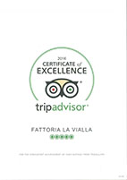 Travellers' choice - Tripadvisor 2016