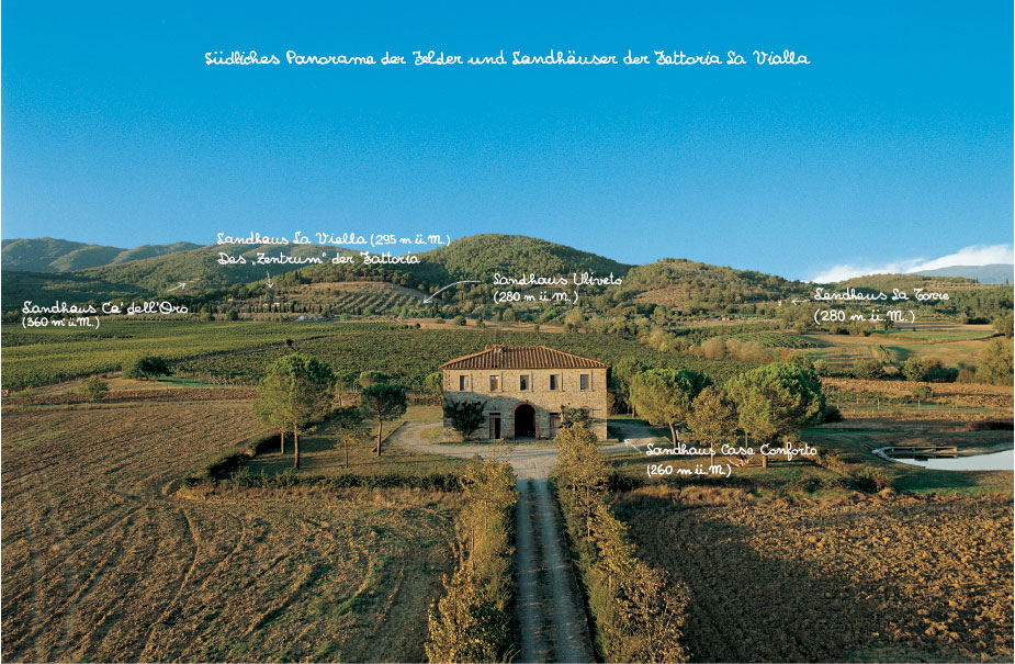 Panorama des biologisch-biodynamischen Bauernhofs Fattoria La Vialla und der umliegenden Häuser, Weinberge und Felder.