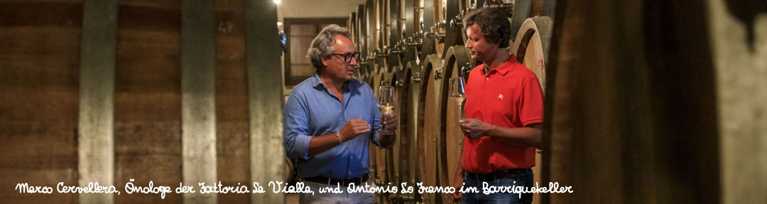 Geschenkideen 1 &ndash; Die Weine La Vialla