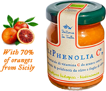 Immagine OliPhenolia C