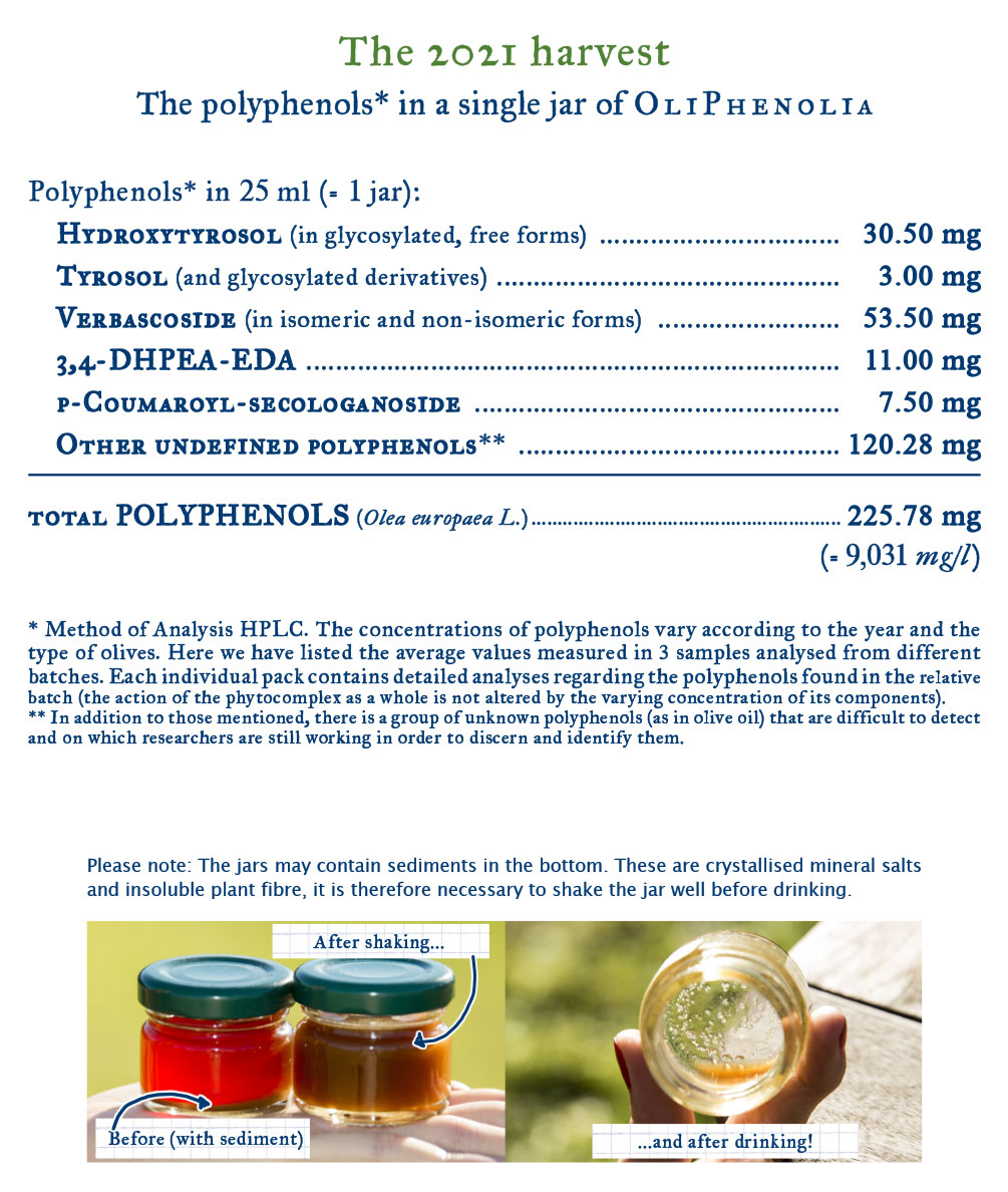 The polyphenols in a single jar of OliPhenolia