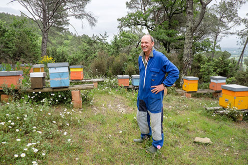De bijenkorven in het bos van La Vialla