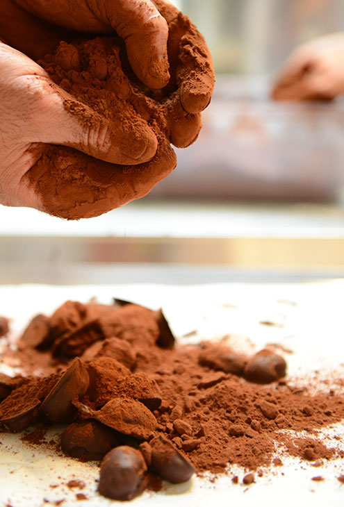 Preparing the Truffles