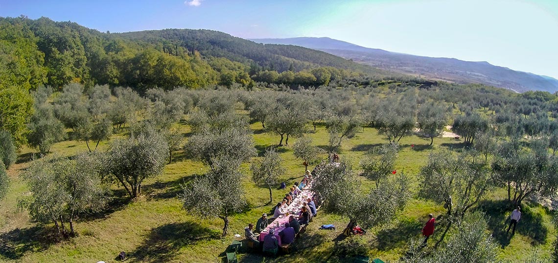 Mittagessen im Olivenhain Ca' dell'Oro