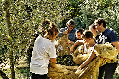 The Lo Franco Family during the harvest