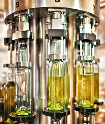 Bottling the Extra Virgin Olive Oil