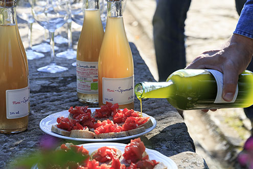 Tomato, bread and new oil – deliciously simple