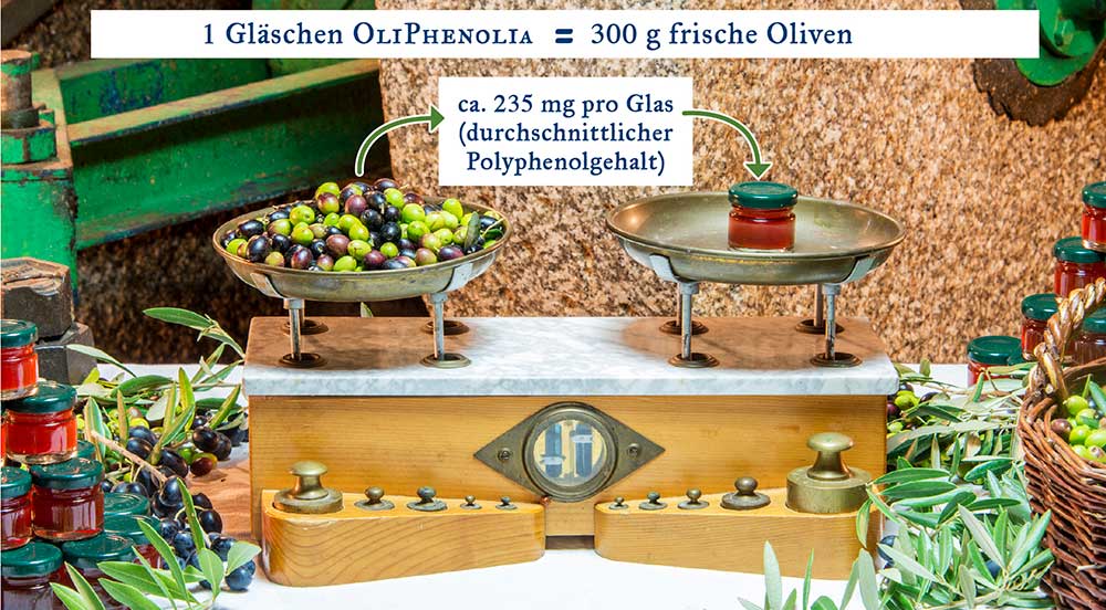 OliPhenolia, eine natürliche Quelle von Polyphenolen aus den biologisch-biodynamischen Oliven der Fattoria
