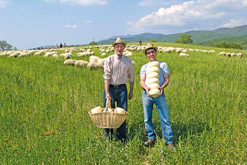 Michelino und Damiano mit ihrem Schafskäse