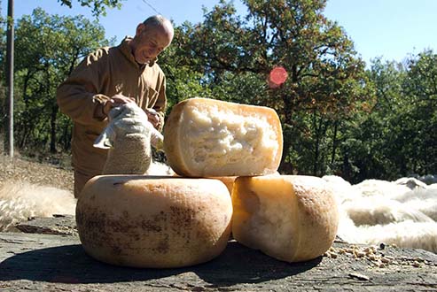 Michelino en de pecorino van La Vialla