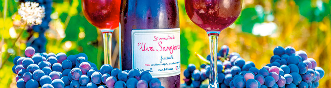 Traubensaft La Vialla