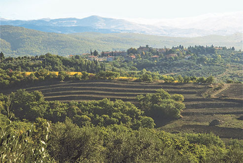 De terrassen van wijngaard Casa Rossa