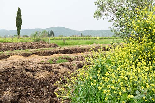 The biodynamic compost heap