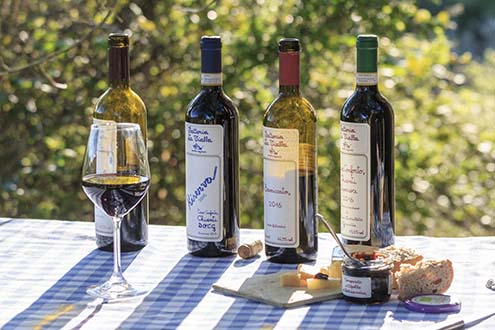A selection of Fattoria La Vialla’s red wines