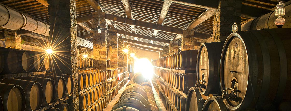 The barrique cellar at La Vialla