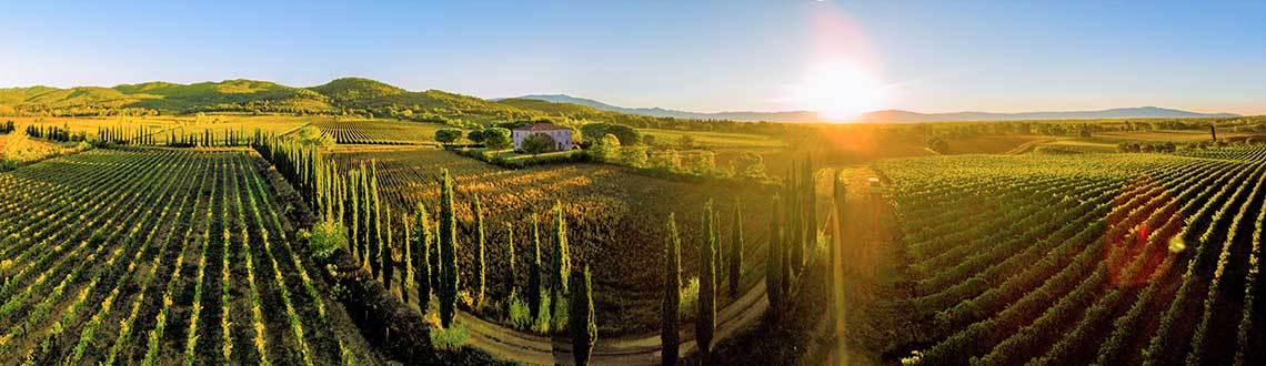 Panorama van Fattoria La Vialla in het voorjaar