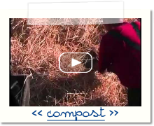 compost