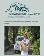 artikel in Unconventional Grasshopper