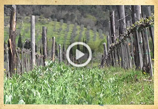 DDC001 La Vialla