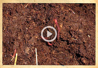 Today we check the biodynamic compost heaps