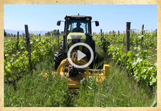 In de wijngaard van La Casotta met nieuwe apparatuur met een lage milieu-impact