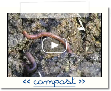 compost