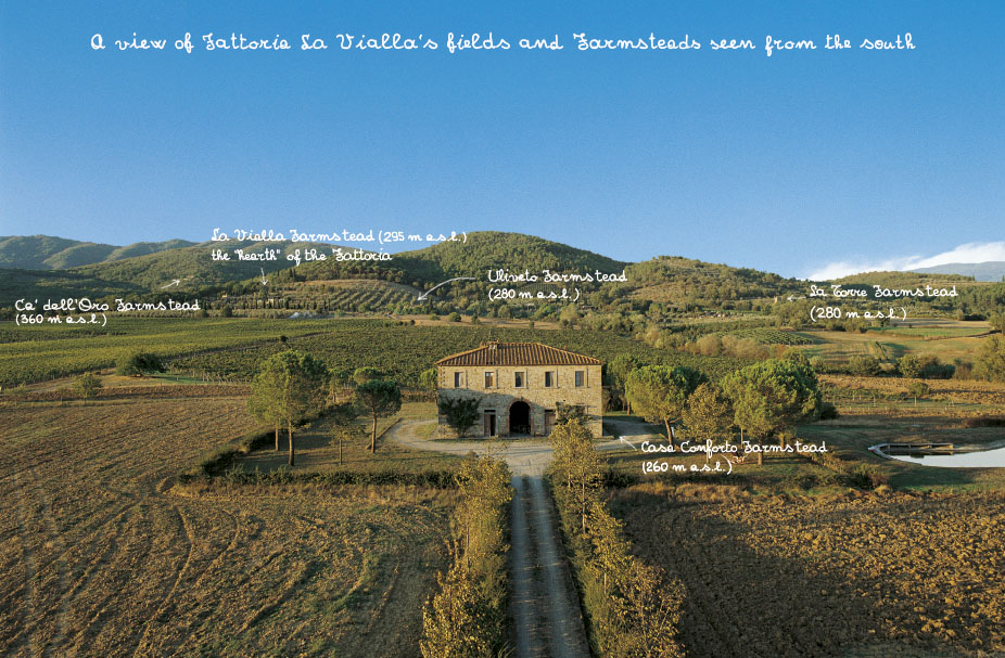 A panorama of Fattoria La Vialla, a family-run organic and biodynamic farm and wine estate, and of its vineyards and fields