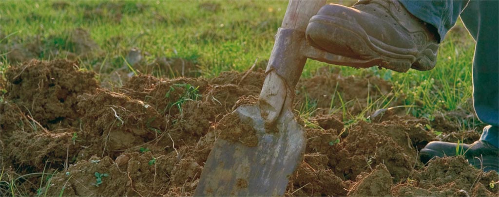 A foot digs a spade into the Fattoria’s healthy and fertile soil, cultivated according to the methods of biodynamic agriculture