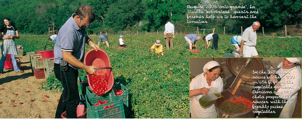 In the Fattoria’s vegetable patches fruit and vegetables are grown and then used directly to make pasta sauces and other products
