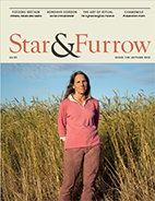 Artikel aus Star and Furrow 2022